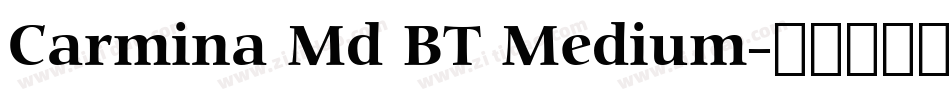 Carmina Md BT Medium字体转换